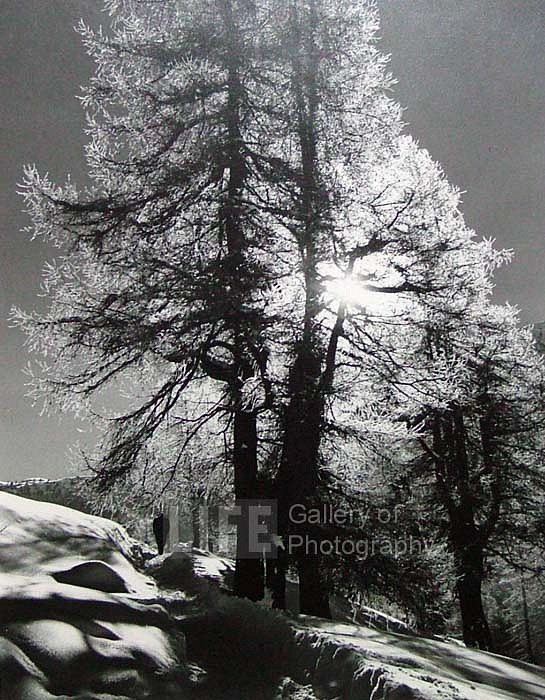Alfred Eisenstaedt, Morning Sun in St. Moritz, Switzerland, 1939
Silver Gelatin Print, 13 x 10 inches