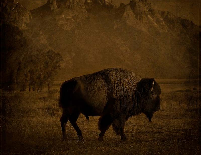 Jack Spencer, Buffalo/Tetons, Wyoming, 2007
Archival Pigment Print with Mixed Media Glaze, 36 x 44 7/8 inches