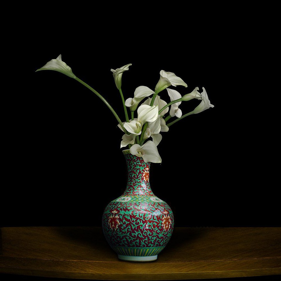 T.M. Glass, Calla Lilies in Chinese Vase, 2021
Archival Pigment Print Mounted on Dibond, 42 x 42 in.