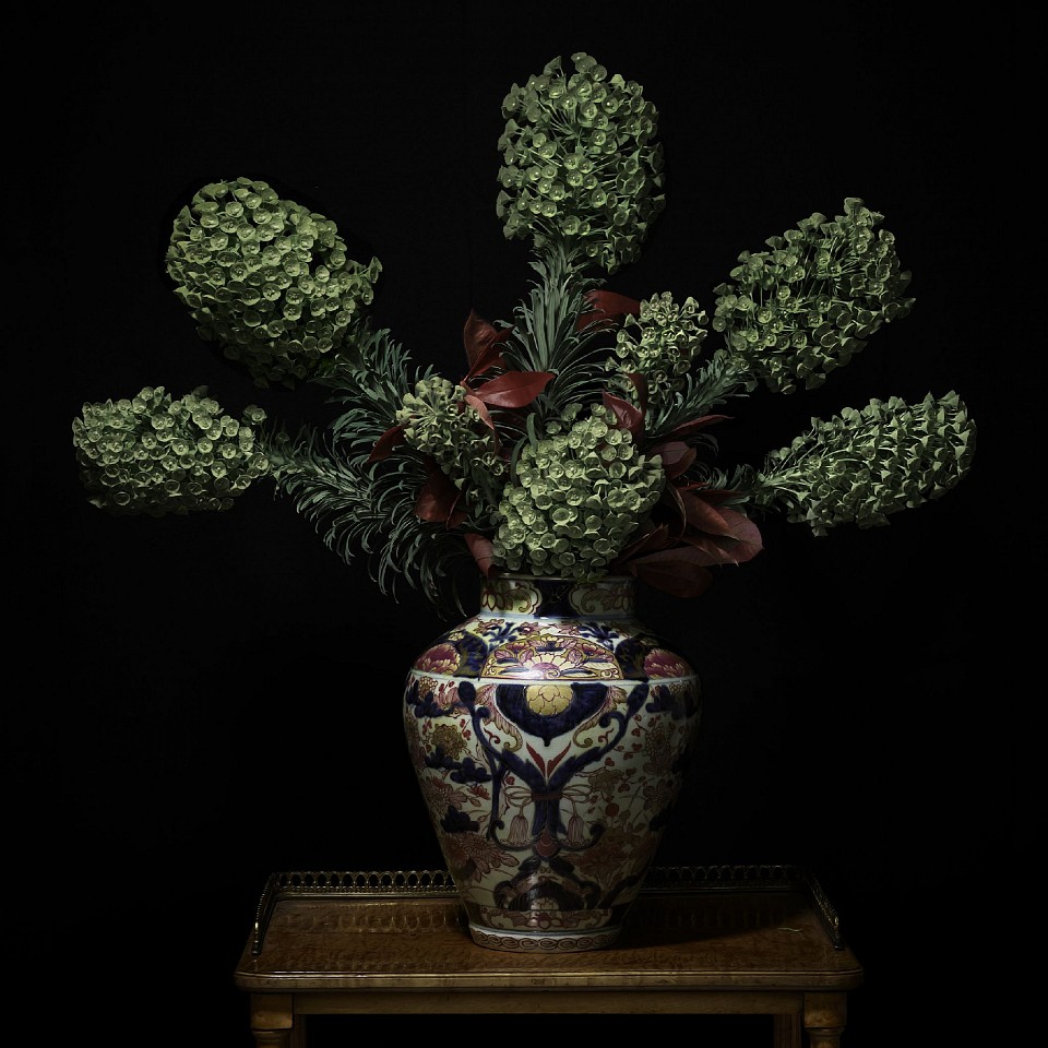 T.M. Glass, Euphorbia in a Japanese Imari Vessel, 2018
Archival Pigment Print Mounted on Dibond, 42 x 42 in.