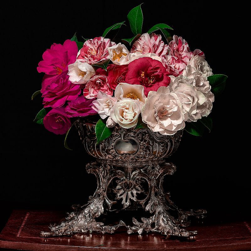T.M. Glass, Camellias in a Silver Punch Bowl, 2018
Archival Pigment Print Mounted on Dibond, 52 x 52 in.