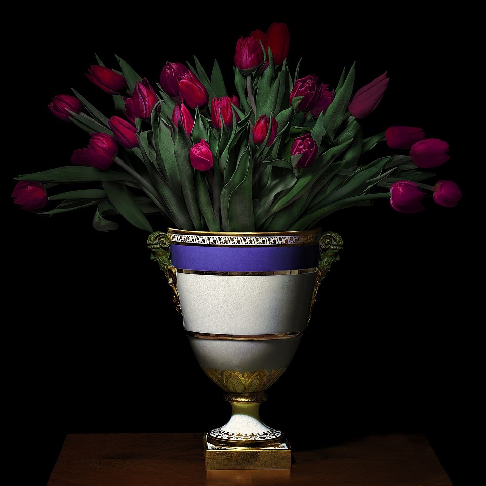 T.M. Glass, Tulips in a Blue, White, and Gold Vessel, 2018
Archival Pigment Print Mounted on Dibond, 52 x 52 in.