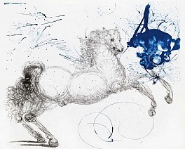 Salvador Dalí Biography