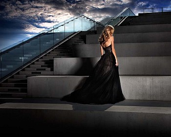 Search: David Drebin, The Girl in the Black Dress, 2011
