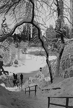 Alfred Eisenstaedt -&nbsp;Alfred Eisenstaedt Scene with Stairs, Central Park