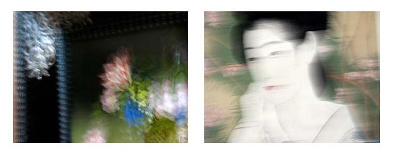 James L. Osher, Three Seconds with the Masters - Flowers, Japan, 2009
Archival Print, 24 x 64 inches