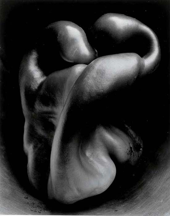 Edward Weston, Pepper, 1930
Silver Gelatin Print, 9 3/10 x 7 2/5 inches