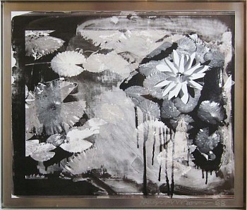 Robert Rauschenberg -&nbsp;Robert Rauschenberg Mexican Water Lilies