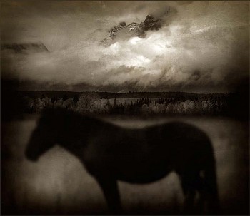 Jack Spencer - Jack Spencer Dark Horse, Wyoming