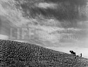 Margaret Bourke-White, Sharecropper Plowing a Field with Pair of Horses
1937, Vintage Silver Gelatin Print