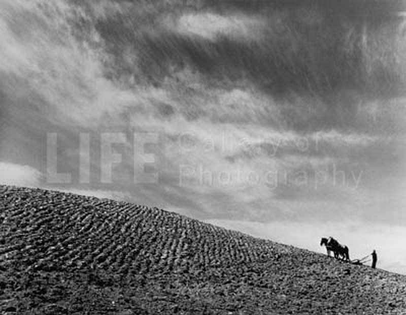 Margaret Bourke-White, Sharecropper Plowing a Field with Pair of Horses, 1937
Vintage Silver Gelatin Print, 9 x 13 1/2 inches