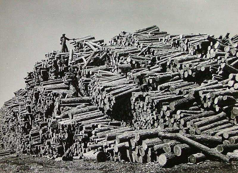Margaret Bourke-White, Worker on Top of Pine Log Pile, 1939
Vintage Silver Gelatin Print, 10 x 13 inches