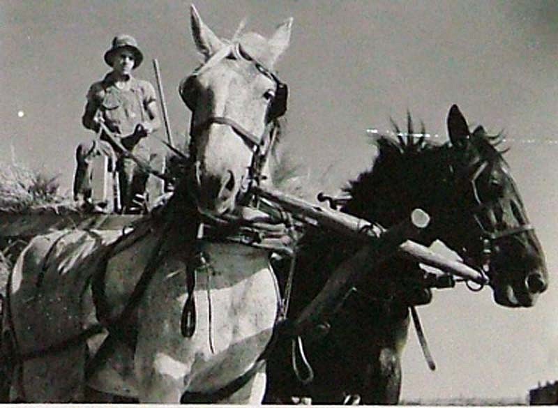 Margaret Bourke-White, Young Farm Boy Driving Ream of Horses Pulling Wagon, 1939
Vintage Silver Gelatin Print, 3 1/8 x 4 1/4 inches