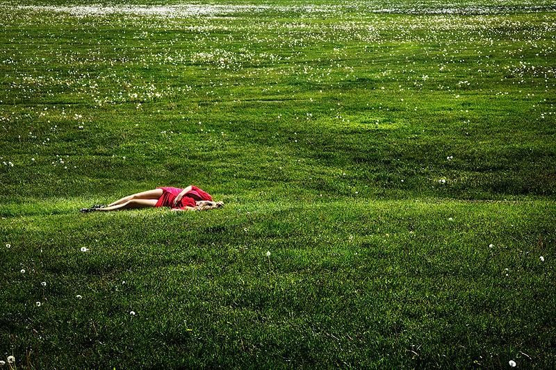 David Drebin, Field of Dreams, 2012
Digital C Print, 20 x 30 inches; 30 x 45 inches; 48 x 72 inches