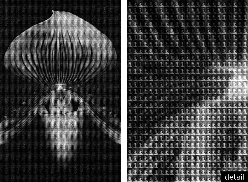Alex G. Cao, ORCHID vs MAPPLETHORPE, AFTER MAPPLETHORPE, 2010
Chromogenic Print with Dibond Plexiglass, 60 x 40 inches; 108 x 72 inches