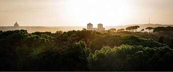 David Drebin -&nbsp;David Drebin Caesar's Empire