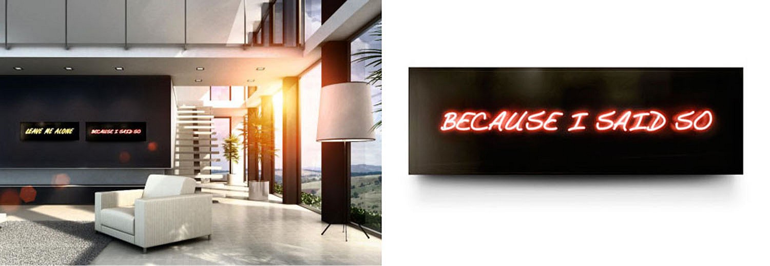 David Drebin, Because I Said So, 2013
Neon Light Installation, 18.5 x 57.5 x 6 inches