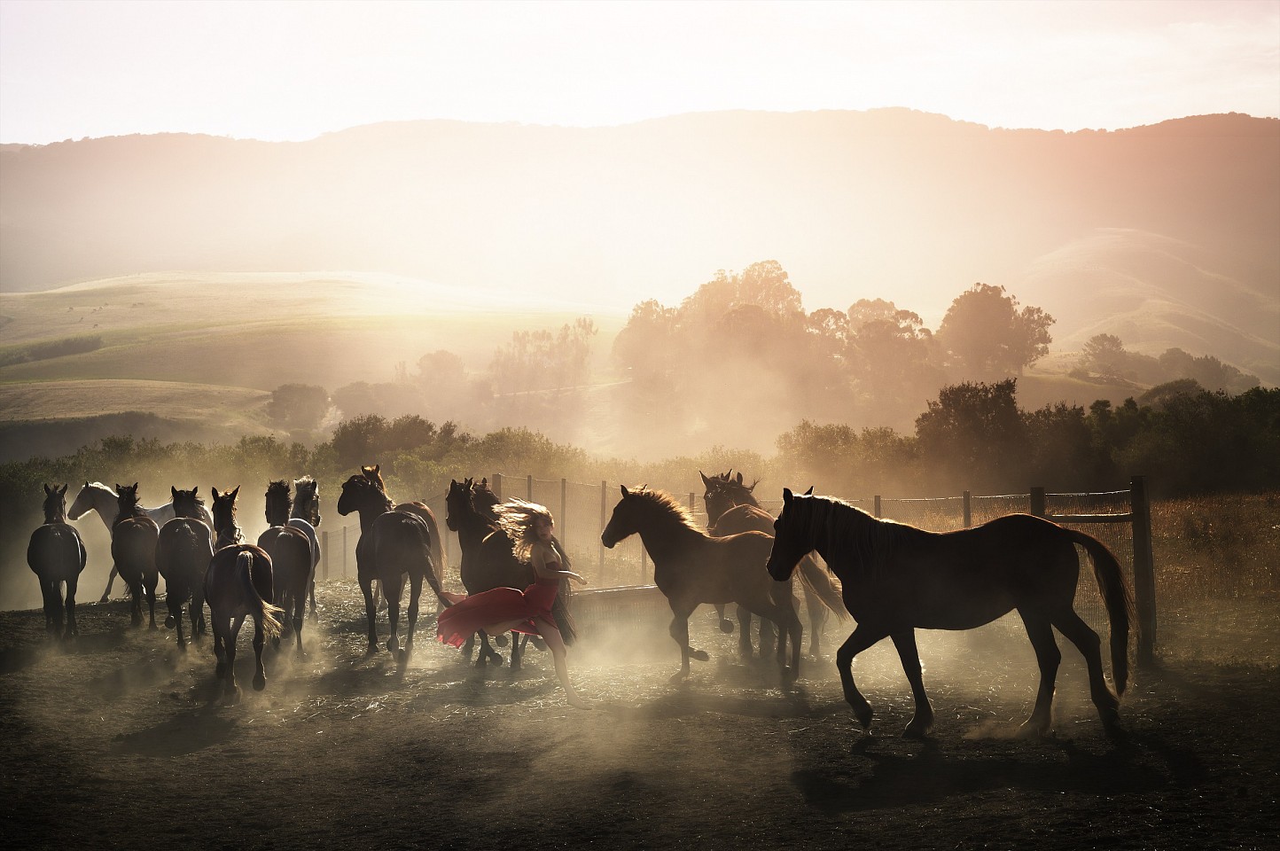 David Drebin, Running Wild, 2014
Digital C Print, 20 x 30 inches, 30 x 45 inches and 48 x 72 inches