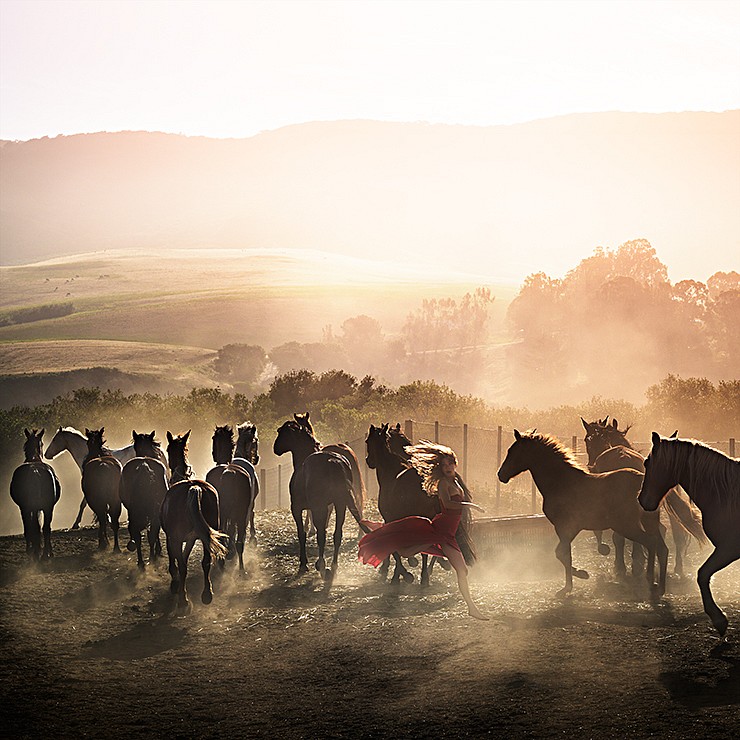 David Drebin, Running Wild (Lightbox), 2014
Lightbox, 60 x 60 inches