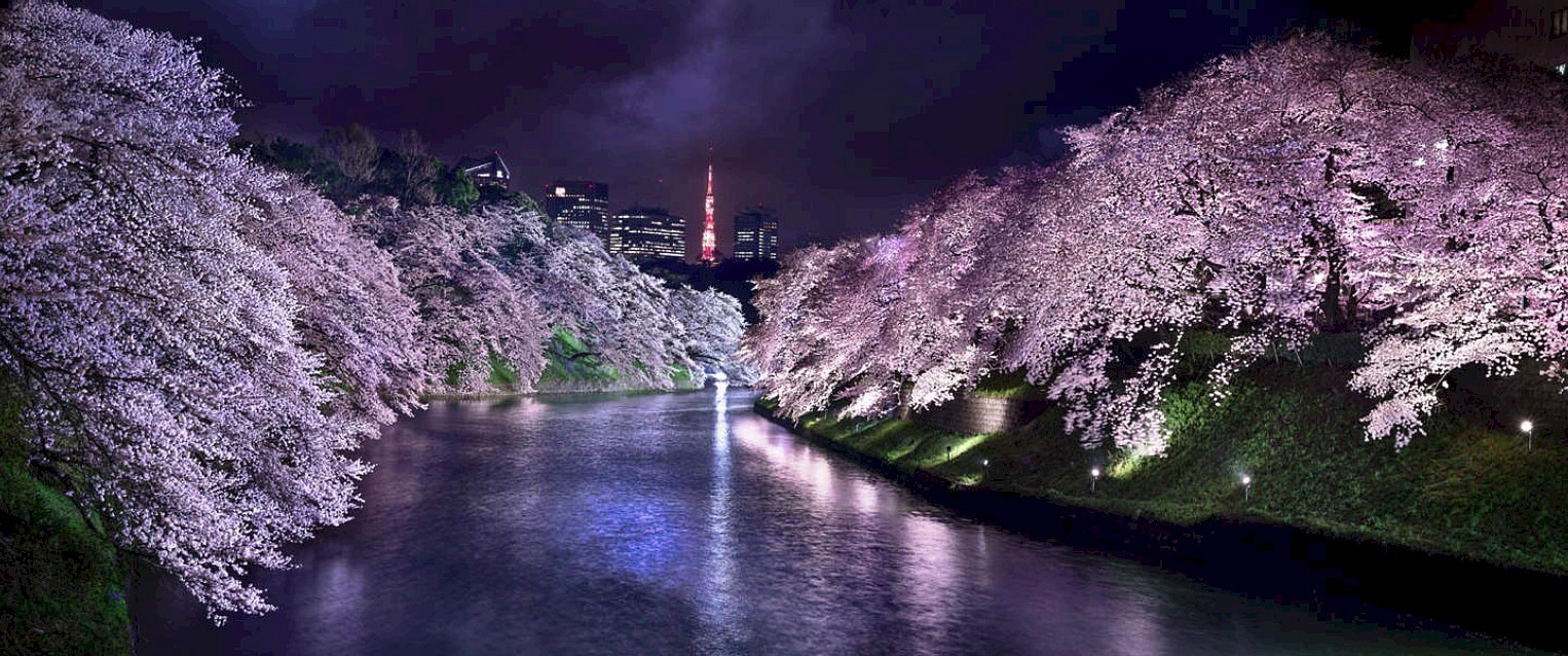 David Drebin, Pink Nights, 2015
Digital C Print, 20 x 48 inches, 30 x 72 inches and 40 x 96 inches