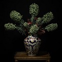 T.M. Glass, Euphorbia in a Japanese Imari Vessel
2018, Archival Pigment Print Mounted on Dibond
