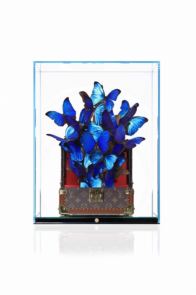 Roman Feral, Louis Vuitton Azur, 2023
Original Louis Vuitton Chest, Preserved Natural Butterflies, Glass and Mirror Display, Engraved Signature Plate, 19 5/8 x 15 5/8 x 15 5/8 in.