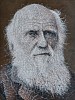 charles darwin 96 x 72 oil on canvas