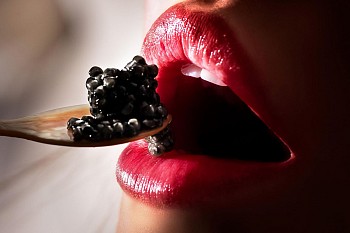 Work: David Drebin Caviar Dreams
