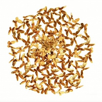 Work: Roman Feral Circle Of Life (GOLD)