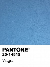 Cayla Birk . Biography