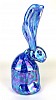 caeruleus ix