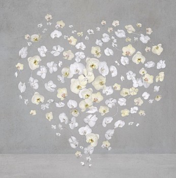 Work:&nbsp;Isabelle van Zeijl Shining Heart