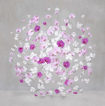 Work:&nbsp;Isabelle van Zeijl Infinite Amarnth