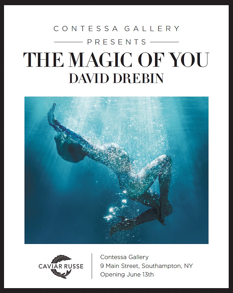 David Drebin Reception