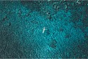 David Drebin, Floating Dreams
2021, Digital C Print with Diamond Dust