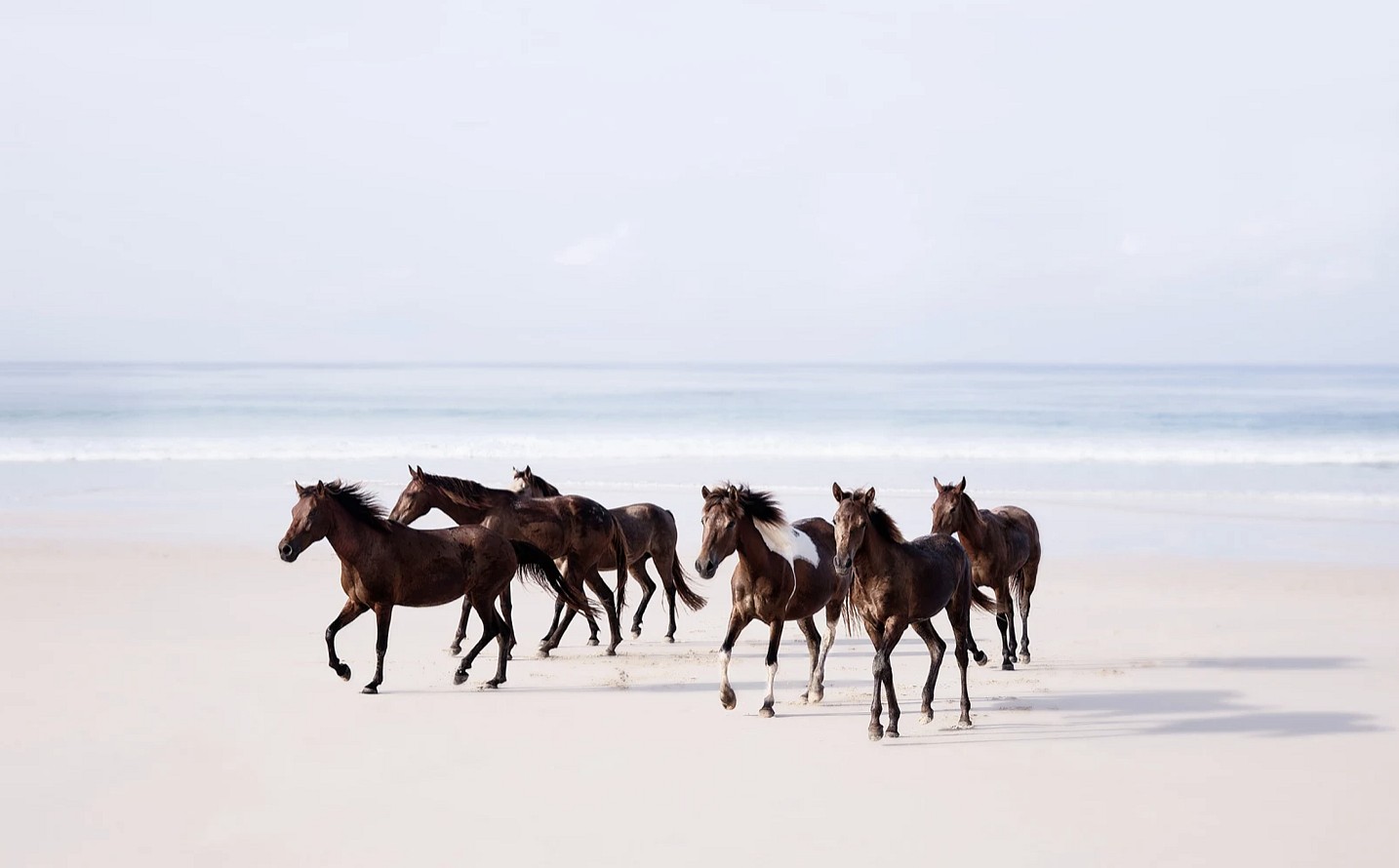 Isabelle van Zeijl The Cowboys of the Sea 2025
