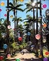 Flávia Junqueira, Jardim Botanico do Rio de Janeiro 3
2022, Archival Pigment Print on Cotton Paper